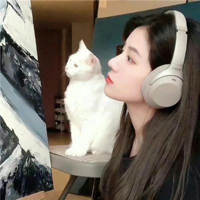 美丽的岛屿